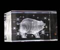 Wealth Crystal Pig