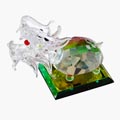 Crystal Dragon Head Tortoise