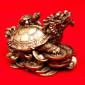 Golden Dragon Head Turtle